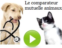 mutuelle chien chat